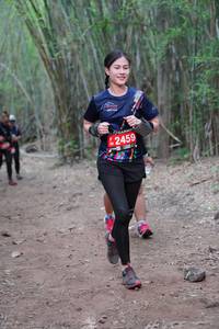 BIB: 2459, 
                            <button type="button" onclick="openModal(4131379)" class="btn btn-primary btn-sm float-right btn-popup" data-toggle="modal" data-target=".modal-high-quality">
                        <i class="fas fa-shopping-cart"></i> Add to Cart
                    </button>
                                            <button type="button" onclick="isThisMe(4131379, true)" class="btn btn-success btn-sm float-right btn-popup btn-isme hidden" data-toggle="tooltip" data-placement="bottom" title="นี่คือรูปของคุณใช่ไหม คลิกที่นี่เพื่อเอาเข้าอัลบั้ม">
                        <i class="fas fa-plus"></i> Add to album
                    </button>
                    <button type="button" onclick="isThisMe(4131379, false)" class="btn btn-warning btn-sm float-right btn-popup btn-isnotme hidden">
                        <i class="fas fa-ban"></i> Remove from album
                    </button>